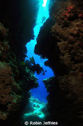 Marion reef walls with 45mm vis. Nikon D90 Tokina 10-17mm... by Robin Jeffries 